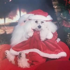 Meet your Posher, Patricia